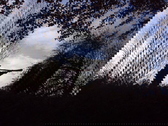 Drukke tijden voor de midwinterhoorngroep Doesburg!