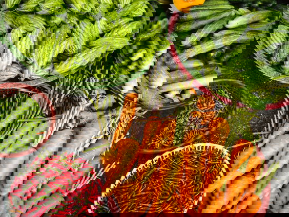 Loraine bedacht de sociale zelfoogst-tuin voor arme gezinnen