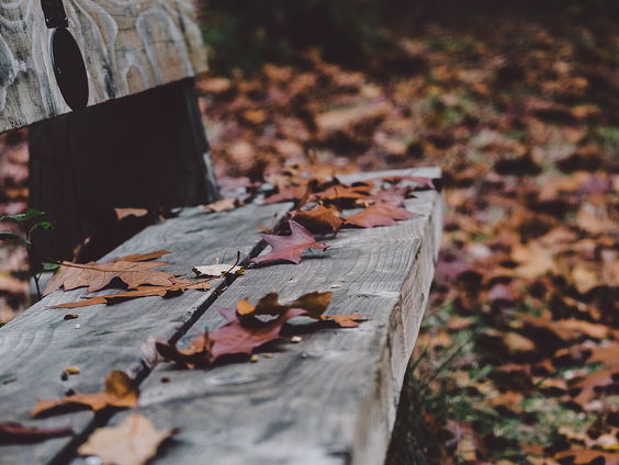 November, een maand van nadenken