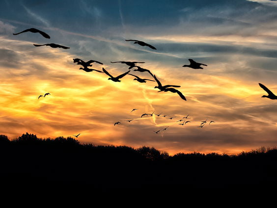 Een gezonde dosis realisme!