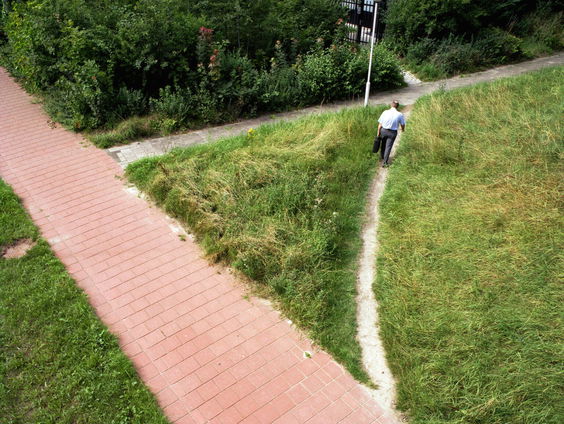 Fotograaf Jan-Dirk van der Burg is gefascineerd door olifantenpaadjes