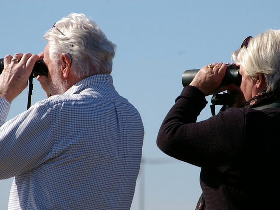 50 plussers doen mee!