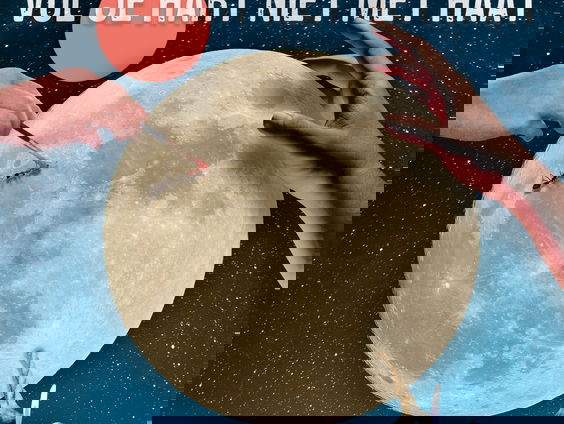 Marco Poucki over zijn nieuwe single Vul je hart niet met haat