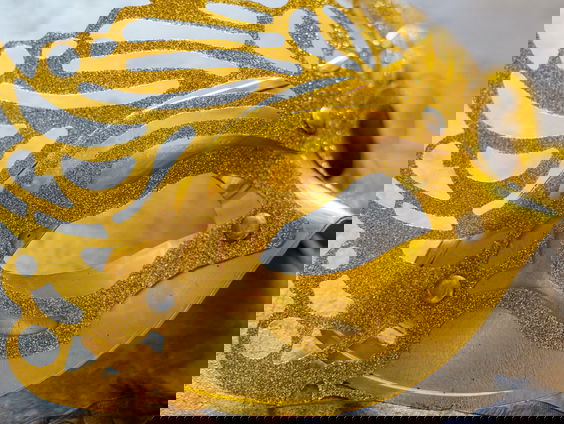 The Masked Rader: Welke boekenschrijver zit er achter het masker?