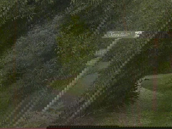 Het stiltepad in Almere is té stil