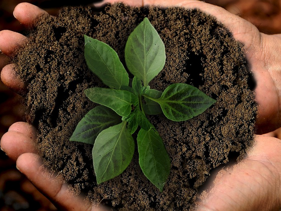 Nieuwe online cursusje eigen tuinbodem onderzoeken