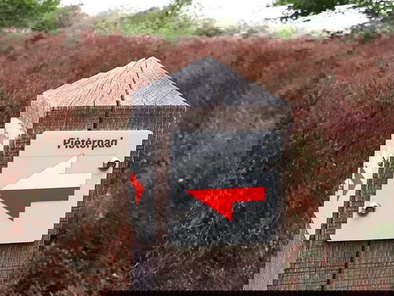 Het Pieterpad bestaat binnenkort 40 jaar!