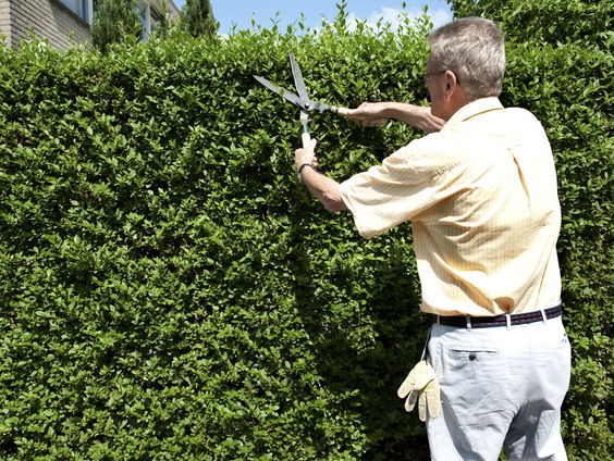 Na je 67e doorwerken is gewoon normaal
