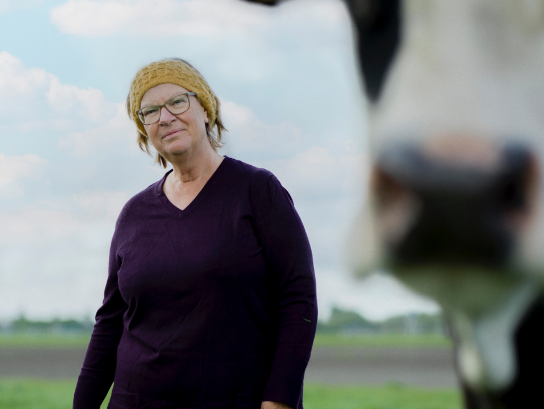 Taalonderzoeker Leonie Cornips deed onderzoek naar de communicatie van koeien