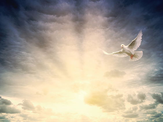 Antwoord op de meest gegoogelde zoekterm: Wat is Pinksteren?