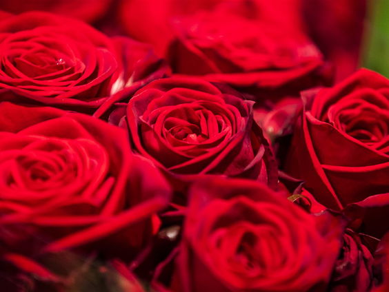 Dag van de liefde.... maar niet voor iedereen