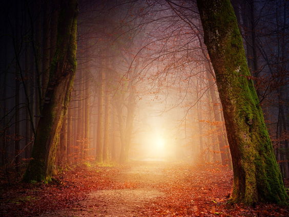 'Het pareltje van de week': Twila Paris met 'Do I trust You’