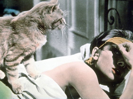 Hanneke Groenteman is Audrey Hepburn's grootste fan!