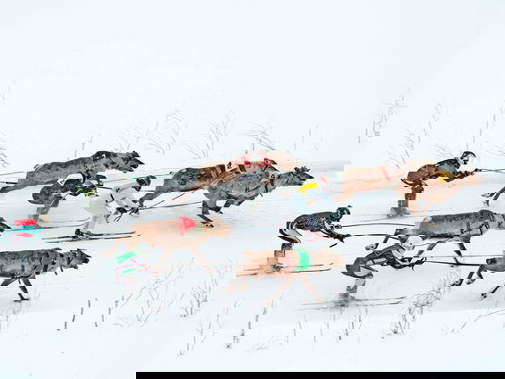 Hannelore Vandenbussche over haar boek en Netflix documentaire 'Human Playground'