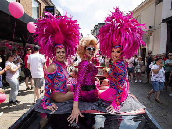 Waarom is roze de homokleur?