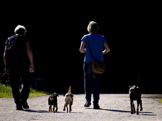 Pas op voor grasaren!