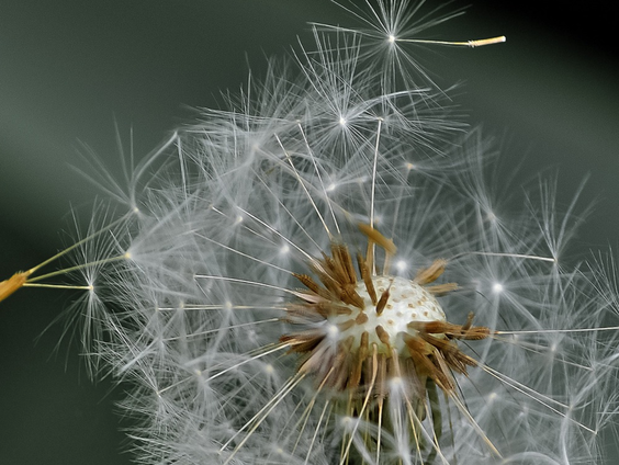 Kwetsbaar durven zijn