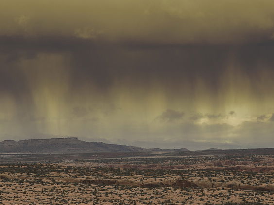 Take me back naar: de Ark van Noach