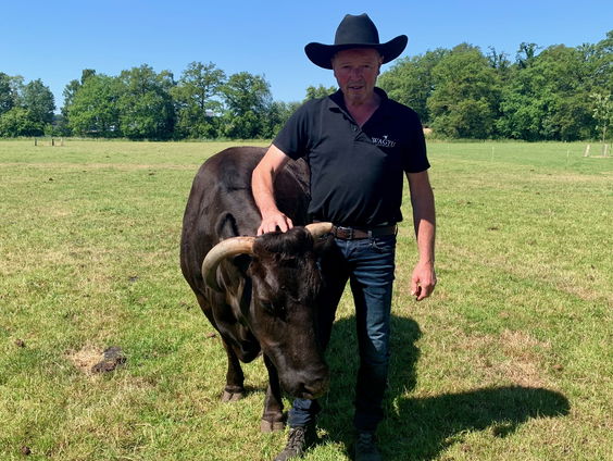 Boer Wilfried uit Twente geeft zijn koeien bier en Bach