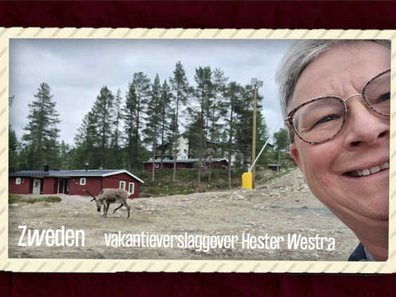 VakantieVerslaggever Hester Westra is in Zweden
