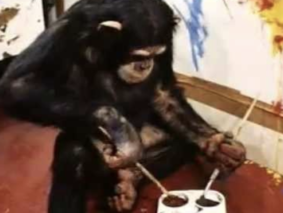 Schilderen met Gorilla's in diergaarde Bijldorp in 1966