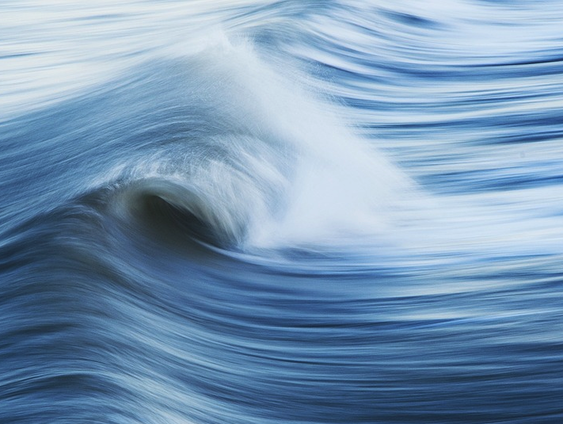 De kunst van het meebewegen!