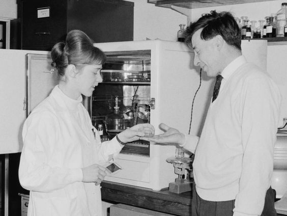 De stichting voor reageerbuisbevruchting heeft het druk in 1985!