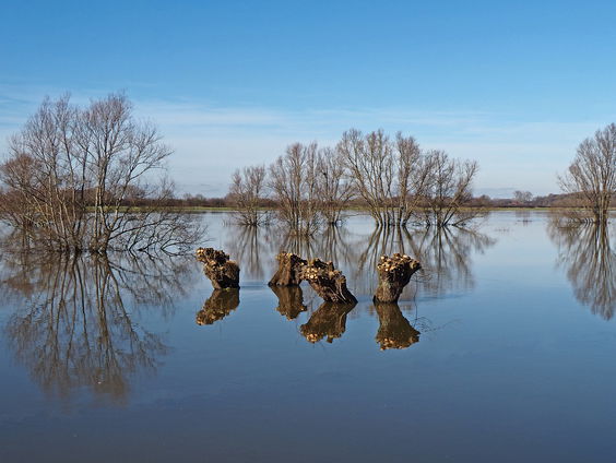 Rivieren meanderen niet alleen door het landschap, maar ook door het leven