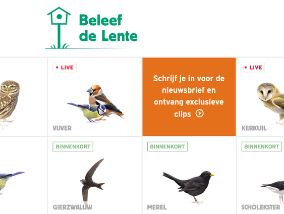 Vogels kijken vanuit je luie stoel