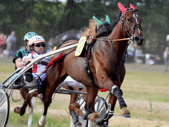 Hortsik! In Joure racen ze er op los om de gouden zweep