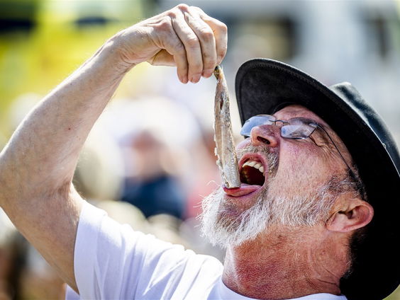 Veiling eerste vaatje Hollandse Nieuwe