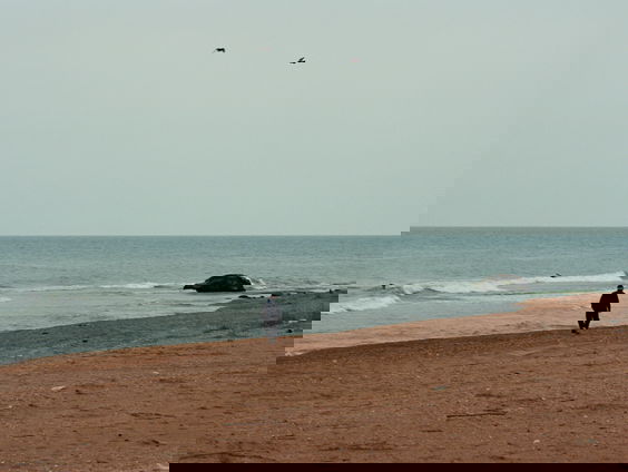 Willem de Rover is al meer dan 40 jaar strandvonder in Camperduin!
