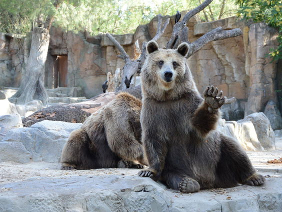 Geen geld om op vakantie te kunnen of leuke dingen te doen...