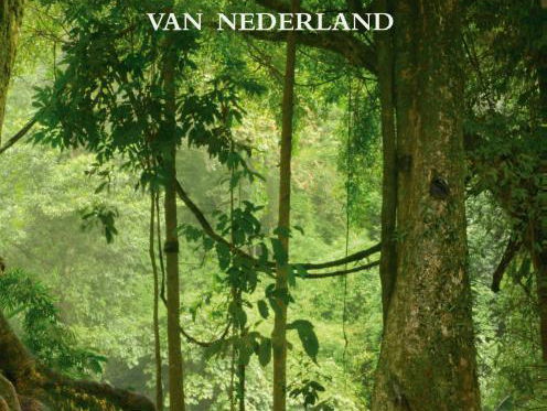 Herman Vuijsje op zoek naar het echte bosgevoel