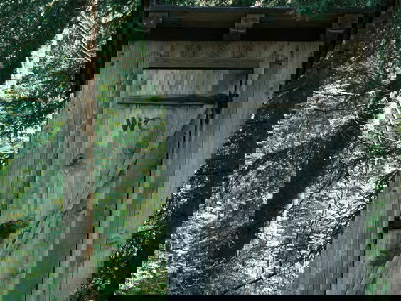 Urine gezocht voor kunstproject (ja, echt waar!)