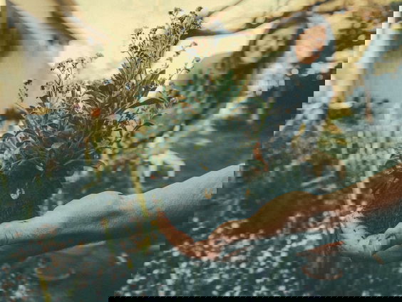 Bep Beerbaum (75) heeft al ruim twintig jaar een moestuin!