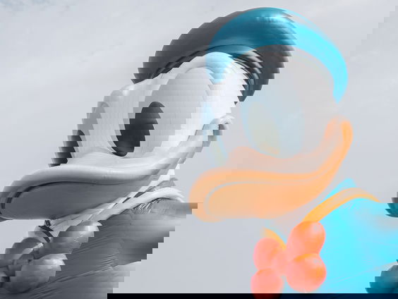 Donald Duck bestaat 70 jaar!