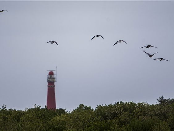 Schiermonnikoog maffia-eiland?