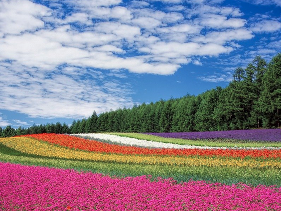 Schoonheid van het bestaan