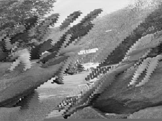 Het Knokke-Festival, wat is dat eigenlijk?