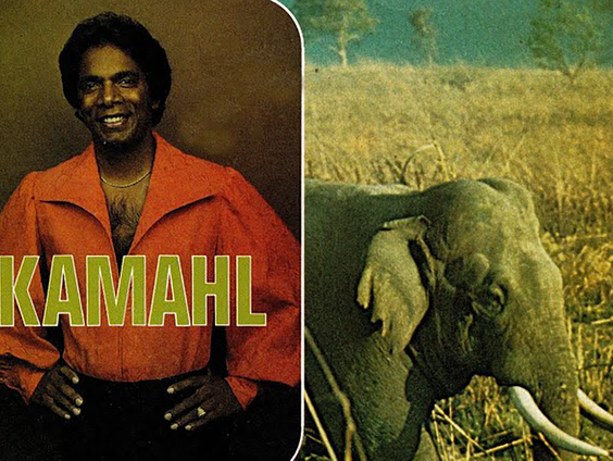 De verhalen van Jan Paparazzi - Het verhaal achter 'The Elephant Song' van Kamahl