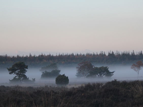 De Veluwe, vanuit het hart in de pen