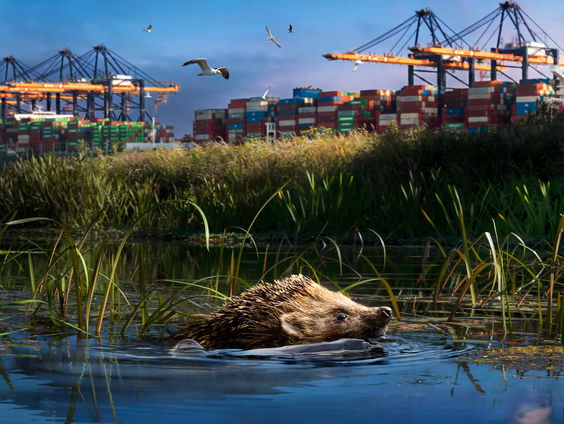 Willem Berents over 'Wild Port of Europe'