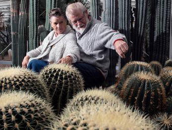 Anny's cactussen verhuizen naar Burgers' Zoo