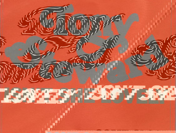 De verhalen van Jan Paparazzi - Het verhaal achter 'Isn't She Lovely' van Tony Steward