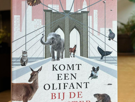 Karlijn van Houwelingen over haar boek 'Komt een Olifant bij de rechter'