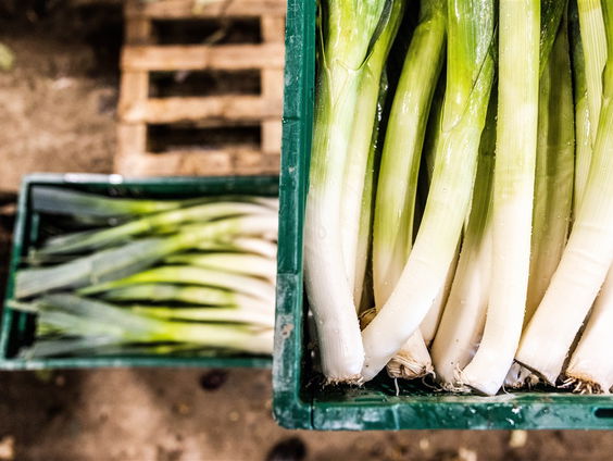 Betalen we teveel voor biologische producten?