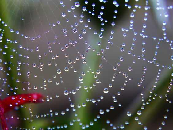 Oh Happy Day. Het pareltje van de week.