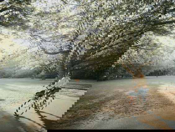 Bij Fiets+Techniek is iedereen welkom (die een fiets wil opknappen)