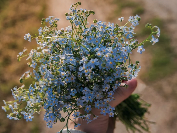 Het leven is als een bos bloemen